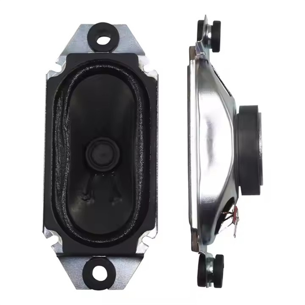 Hot sale 10W speaker